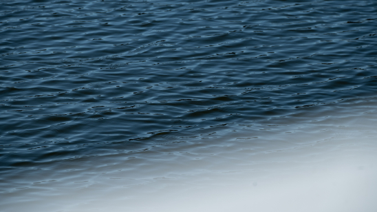 Van product naar platform: Dutch Clean Tech