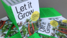 How to Let it Grow: succesvol innoveren doe je zo...