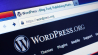 Vijf onmisbare Wordpress-plugins
