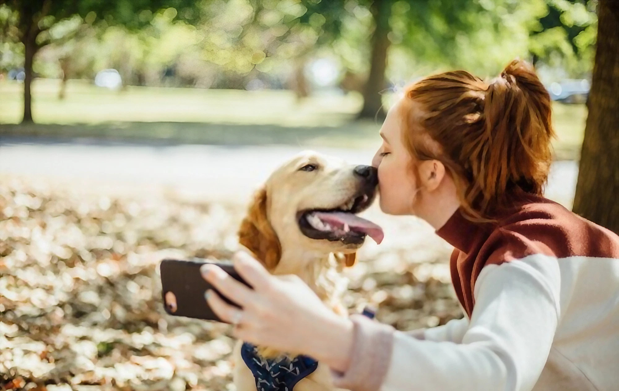 Een nieuw platform dat hondenbezitters met elkaar verbindt om voor honden te zorgen